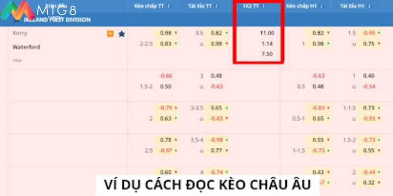 Cách đọc kèo châu âu