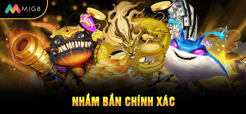 Nhắm bắn chính xác